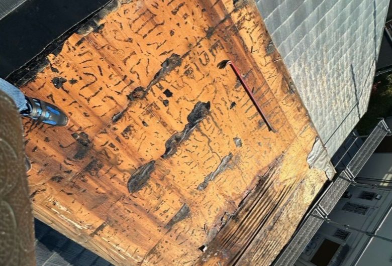 ,番長,つくば市,つくばみらい市,土浦市,阿見町,牛久市,龍ケ崎市,石岡市,稲敷市,牛久市,美浦村,利根町,取手市,守谷市,かすみがうら市,茨城県,千葉県,屋根葺き替え,工事,雨守り番長,屋根工事,屋根,雨樋,修理,外壁,外壁張替工事,リフォーム,カバー工法,内装工事,雨漏り,雨守り番長,コロニアル,Tルーフ,シングル屋根,横暖ルーフ,板金屋根,瓦,トタン,スレート,ガルバリウム鋼板,ルーフィング,予防,診断,お家,早期発見,お家のことなら,診断,ディプロマットスター