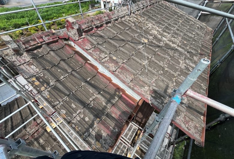 ,番長,つくば市,つくばみらい市,土浦市,阿見町,牛久市,龍ケ崎市,石岡市,稲敷市,牛久市,美浦村,利根町,取手市,守谷市,かすみがうら市,茨城県,千葉県,屋根葺き替え,工事,雨守り番長,屋根工事,屋根,雨樋,修理,外壁,外壁張替工事,リフォーム,カバー工法,内装工事,雨漏り,雨守り番長,コロニアル,Tルーフ,シングル屋根,横暖ルーフ,板金屋根,瓦,トタン,スレート,ガルバリウム鋼板,ルーフィング,予防,診断,お家,早期発見,お家のことなら,診断,ディプロマットスター