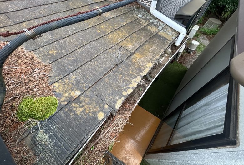 ,番長,つくば市,つくばみらい市,土浦市,阿見町,牛久市,龍ケ崎市,石岡市,稲敷市,牛久市,美浦村,利根町,取手市,守谷市,かすみがうら市,茨城県,千葉県,屋根葺き替え,工事,雨守り番長,屋根工事,屋根,雨樋,修理,外壁,外壁張替工事,リフォーム,カバー工法,内装工事,雨漏り,雨守り番長,コロニアル,Tルーフ,シングル屋根,横暖ルーフ,板金屋根,瓦,トタン,スレート,ガルバリウム鋼板,ルーフィング,予防,診断,お家,早期発見,お家のことなら,診断,ディプロマットスター