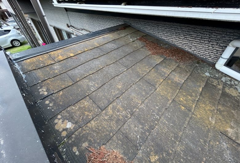 ,番長,つくば市,つくばみらい市,土浦市,阿見町,牛久市,龍ケ崎市,石岡市,稲敷市,牛久市,美浦村,利根町,取手市,守谷市,かすみがうら市,茨城県,千葉県,屋根葺き替え,工事,雨守り番長,屋根工事,屋根,雨樋,修理,外壁,外壁張替工事,リフォーム,カバー工法,内装工事,雨漏り,雨守り番長,コロニアル,Tルーフ,シングル屋根,横暖ルーフ,板金屋根,瓦,トタン,スレート,ガルバリウム鋼板,ルーフィング,予防,診断,お家,早期発見,お家のことなら,診断,ディプロマットスター